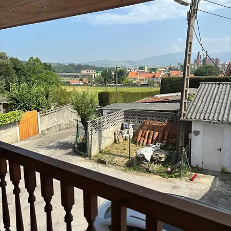 La Pulga En El Océano *