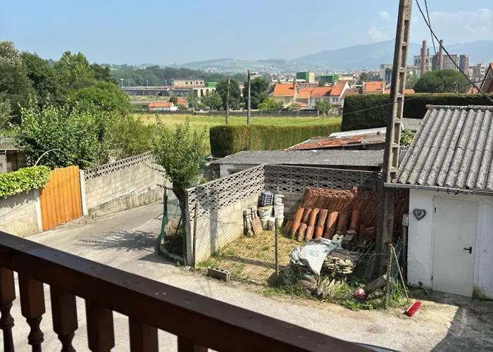 La Pulga En El Oceano *